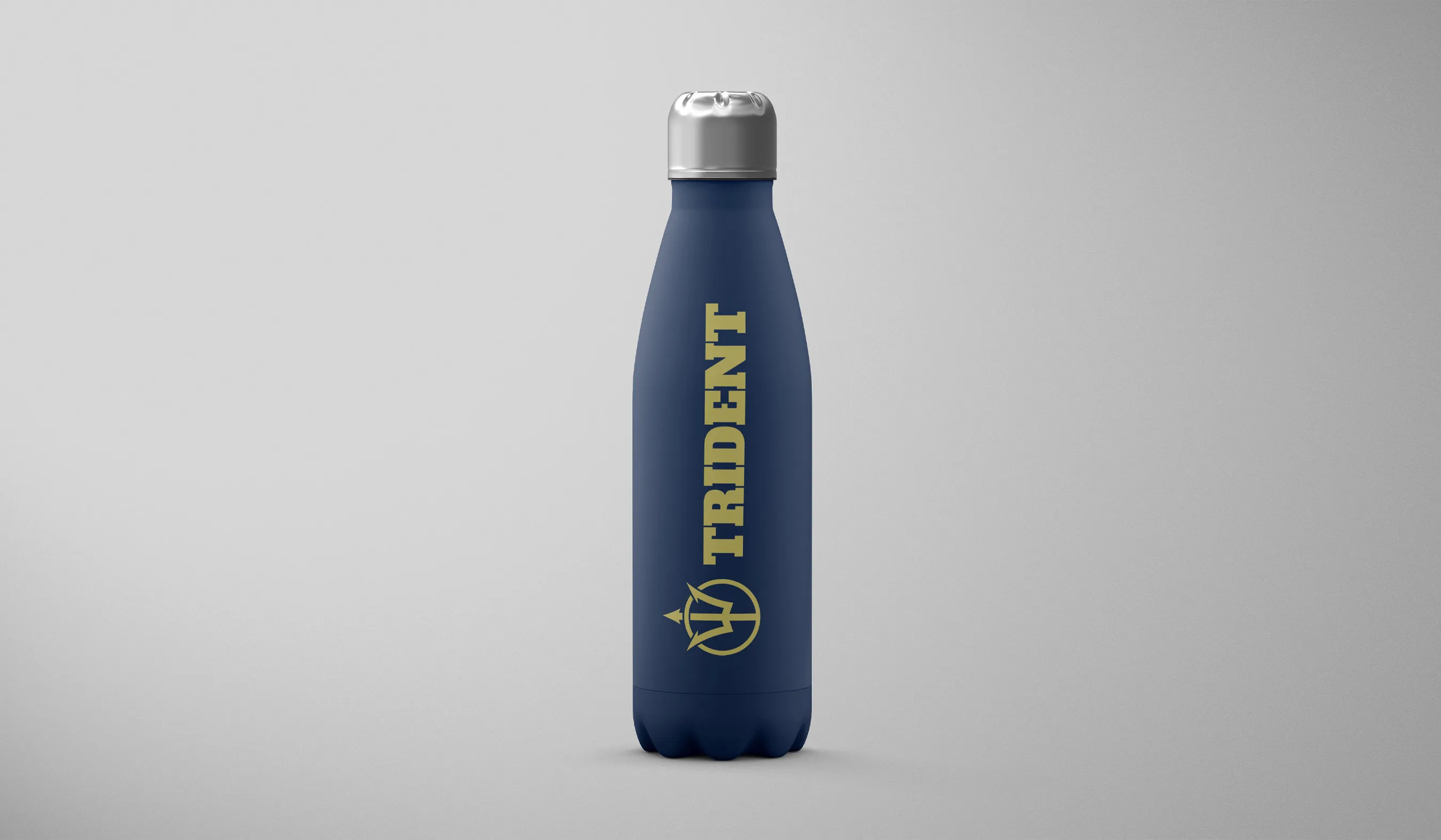 Triednt bottle mockup gray vertical