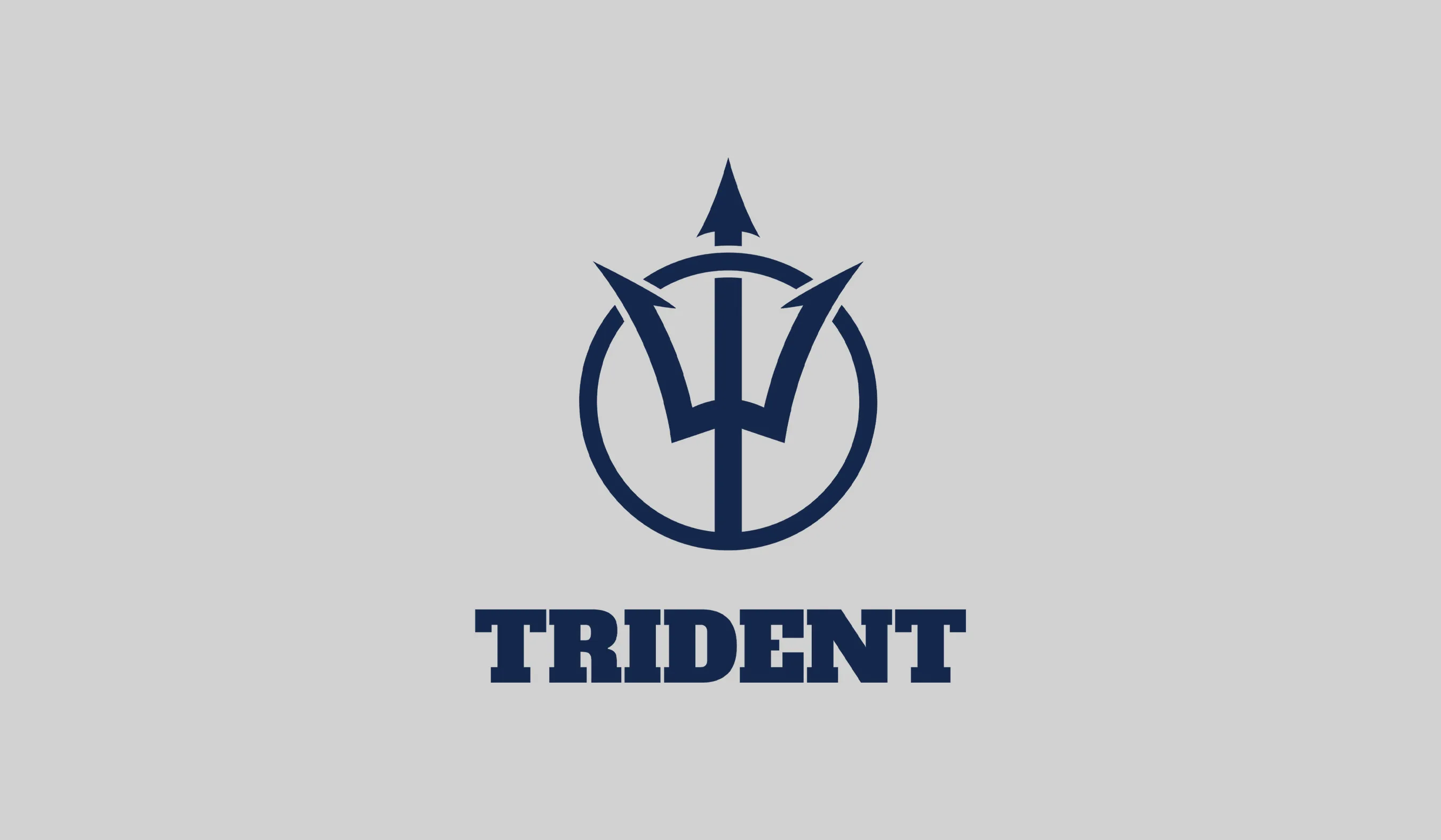 Triednt vertical logo