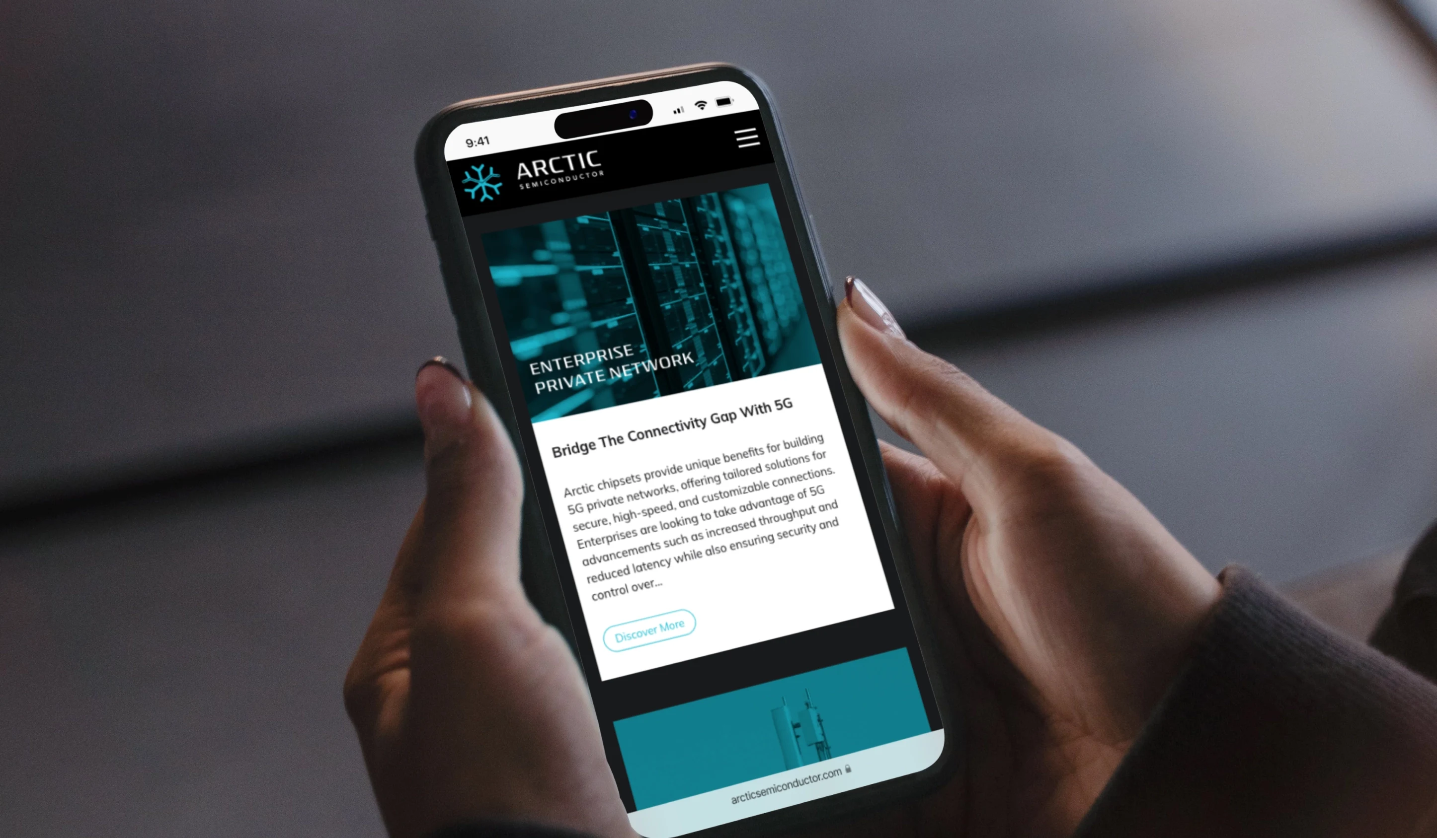 arctic portfolio examples