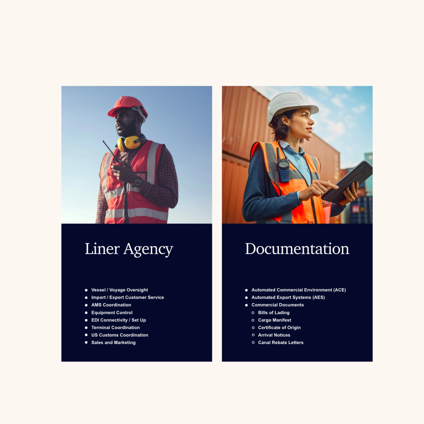 Brand Identity- OWDT Portfolio